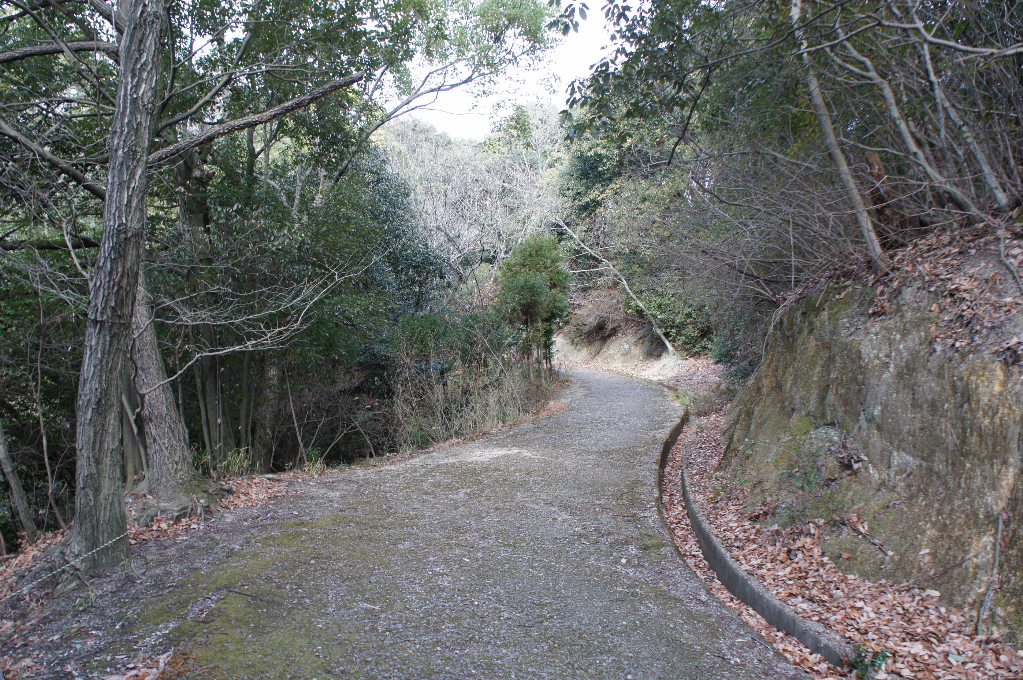 🌳 효고 현립 가부토야마 삼림공원 (효고켄리쓰 가부토야마 신린코엔) 이미지 4